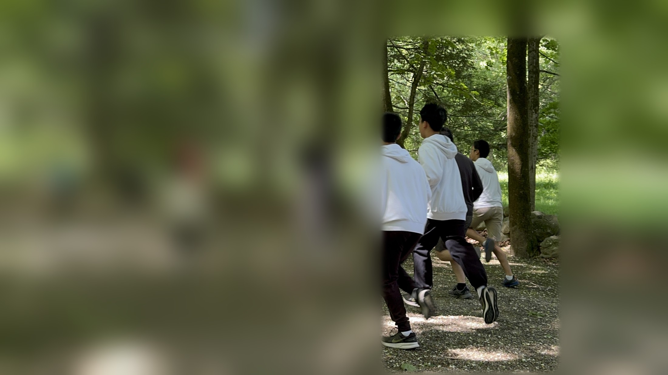 参与者沿林间小路继续完成跑步活动